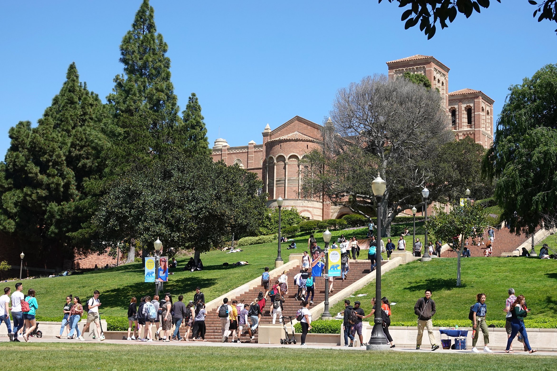 UCLA Campus Advertising