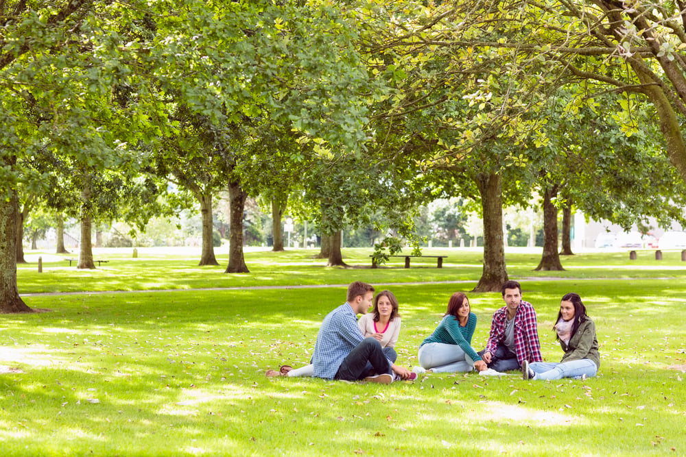 Group of young college students sitting on grass in the park